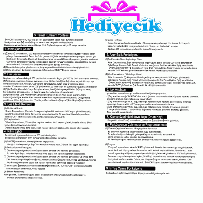 Org Vlektro 61 Tuş Lcd Ekranlı Elektronik Büyük Org
