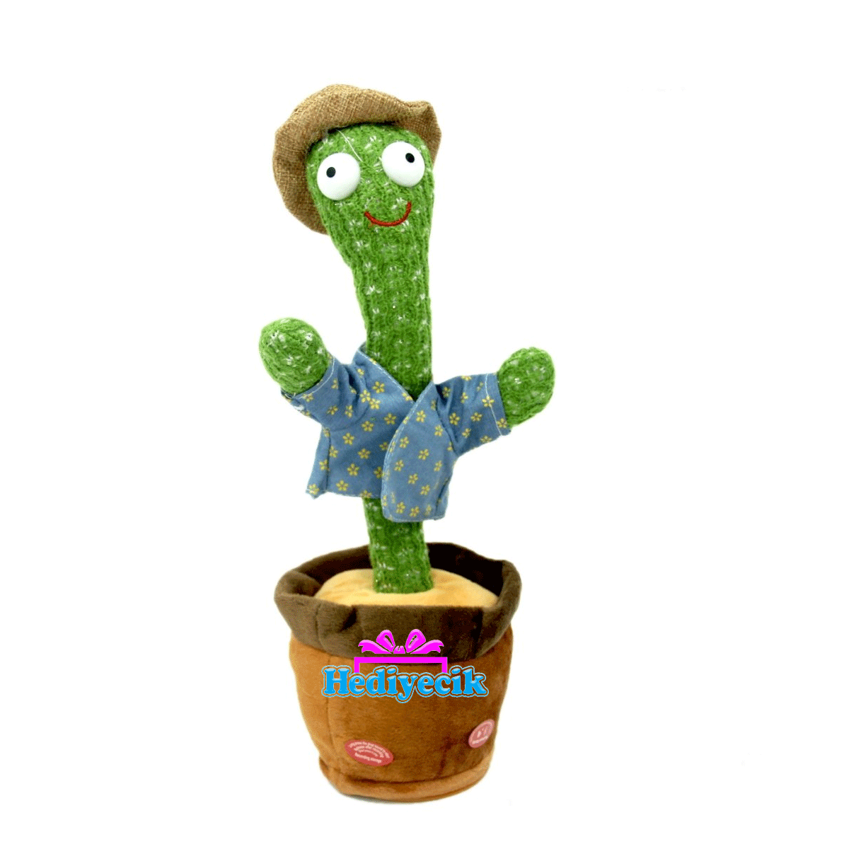 coral kaktus Shop 'Coral Cactus - Euphorbia lactea cristata' main image 0
